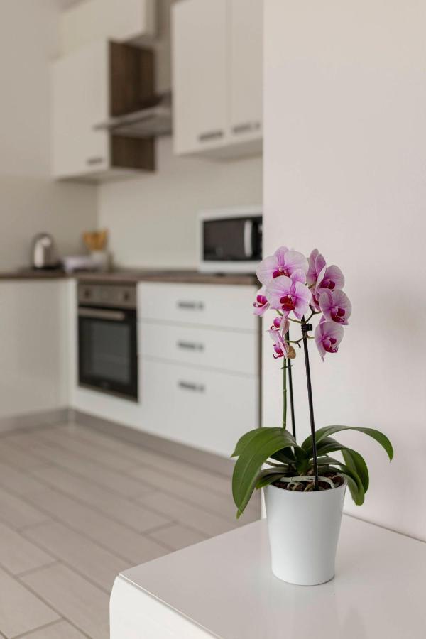 Apartments Era إيزولا المظهر الخارجي الصورة